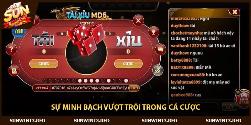 Sự minh bạch vượt trội trong cá cược